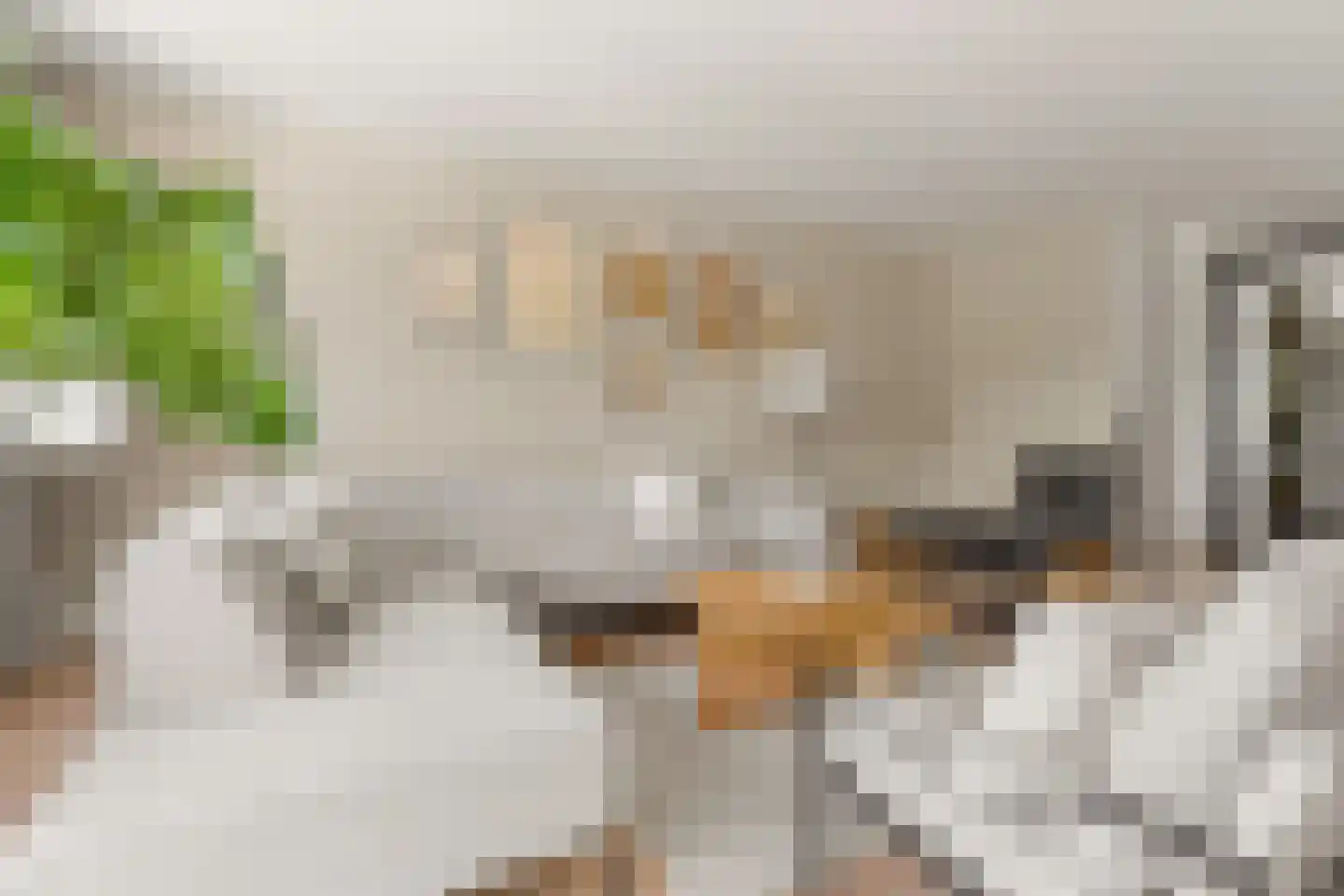 Draagmuur 55 Houten thumbnail 8