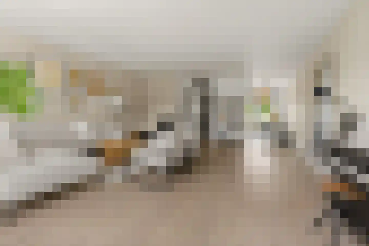Draagmuur 55 Houten thumbnail 9