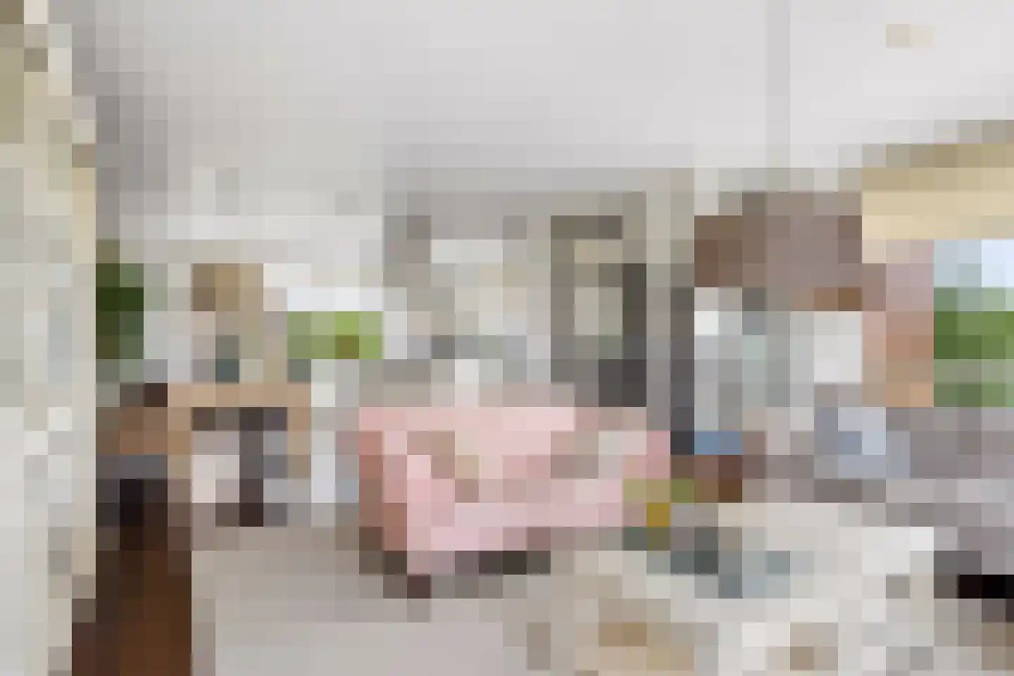 Draagmuur 58 Houten thumbnail 26