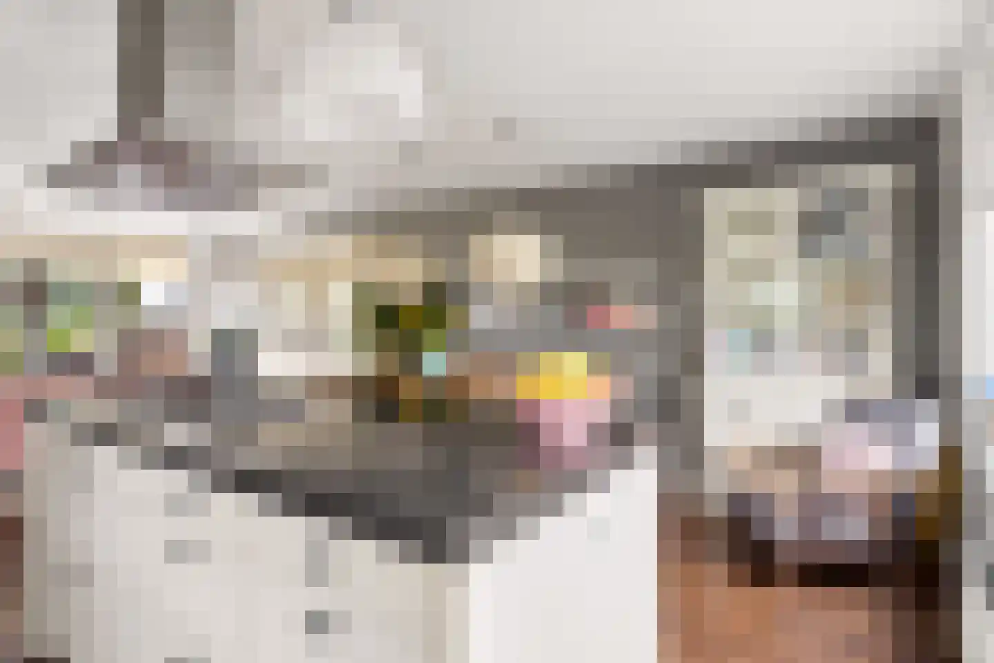 Draagmuur 58 Houten thumbnail 32