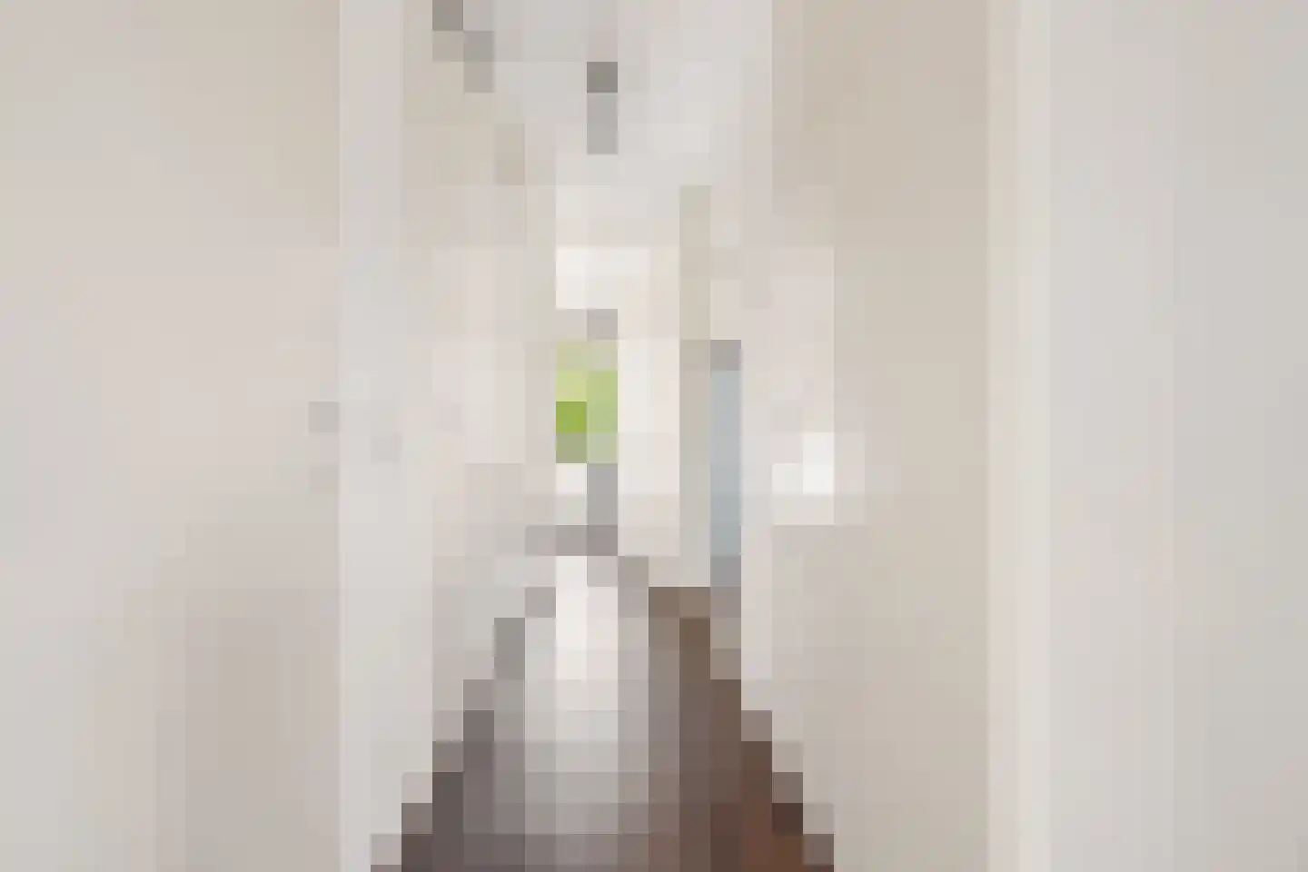 Draagmuur 58 Houten thumbnail 35