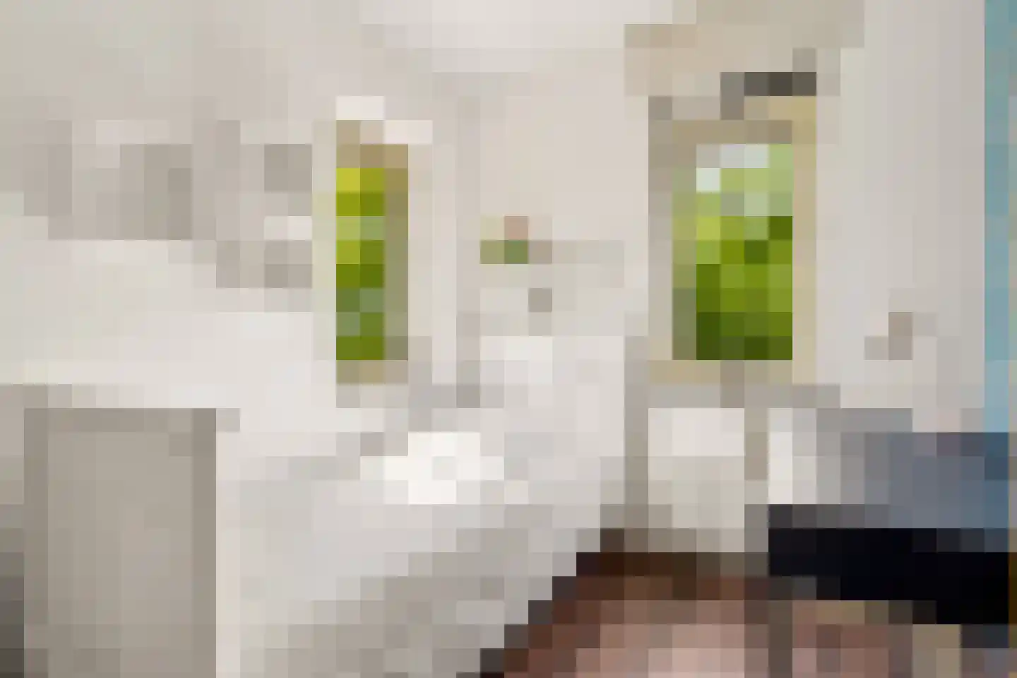 Draagmuur 58 Houten thumbnail 39