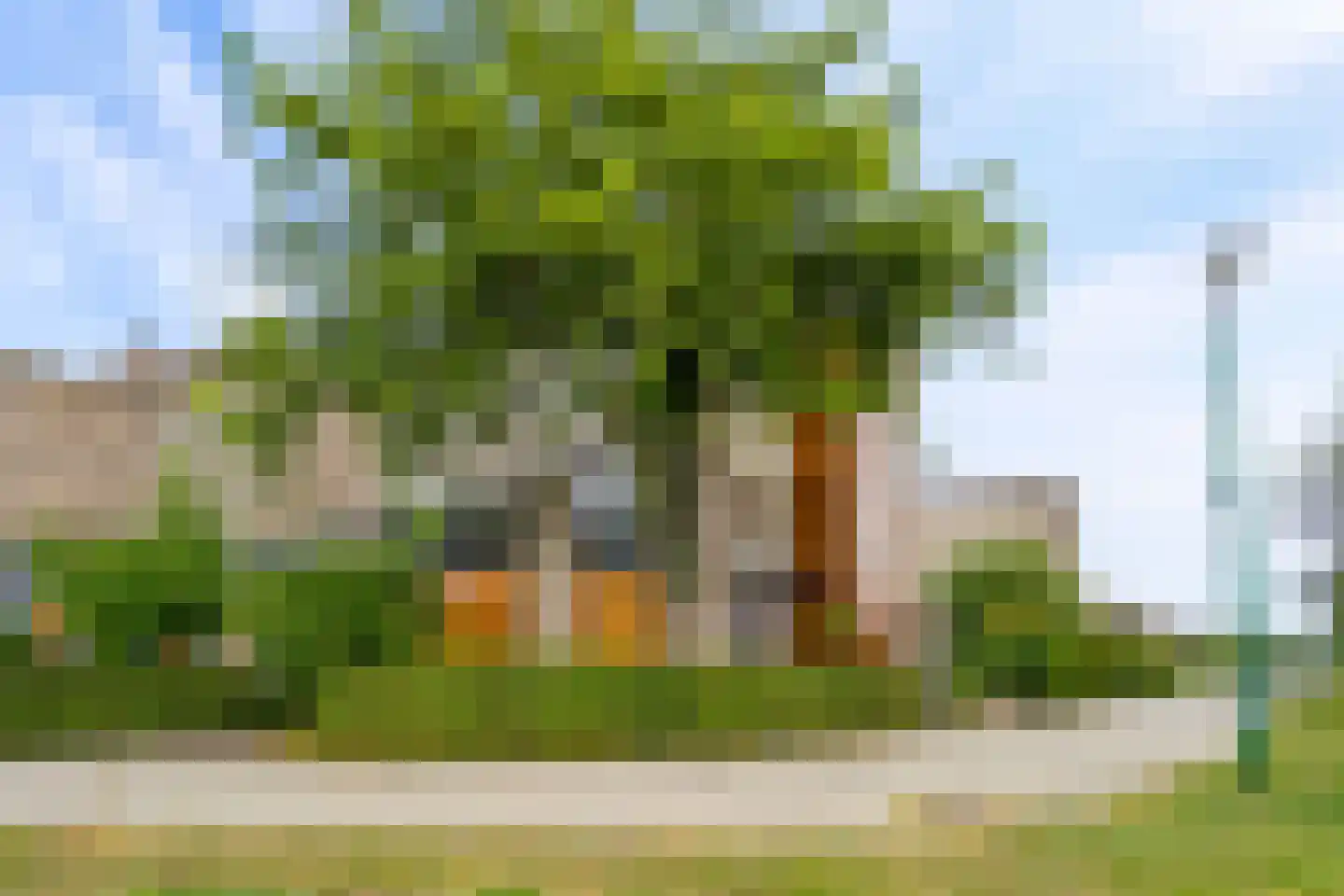 Draagmuur 58 Houten thumbnail 4