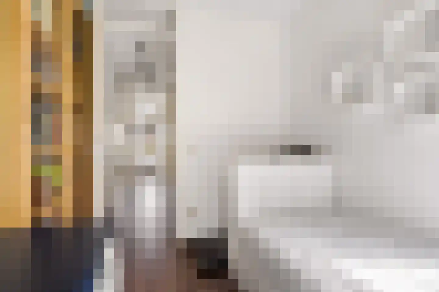 Draagmuur 58 Houten thumbnail 40