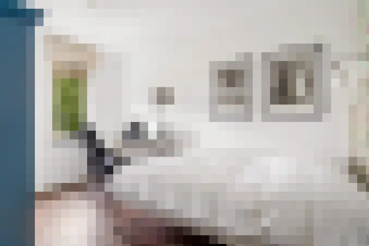 Draagmuur 58 Houten thumbnail 42