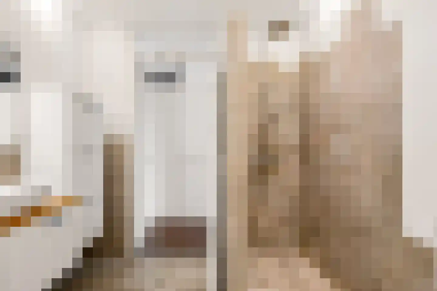 Draagmuur 58 Houten thumbnail 46
