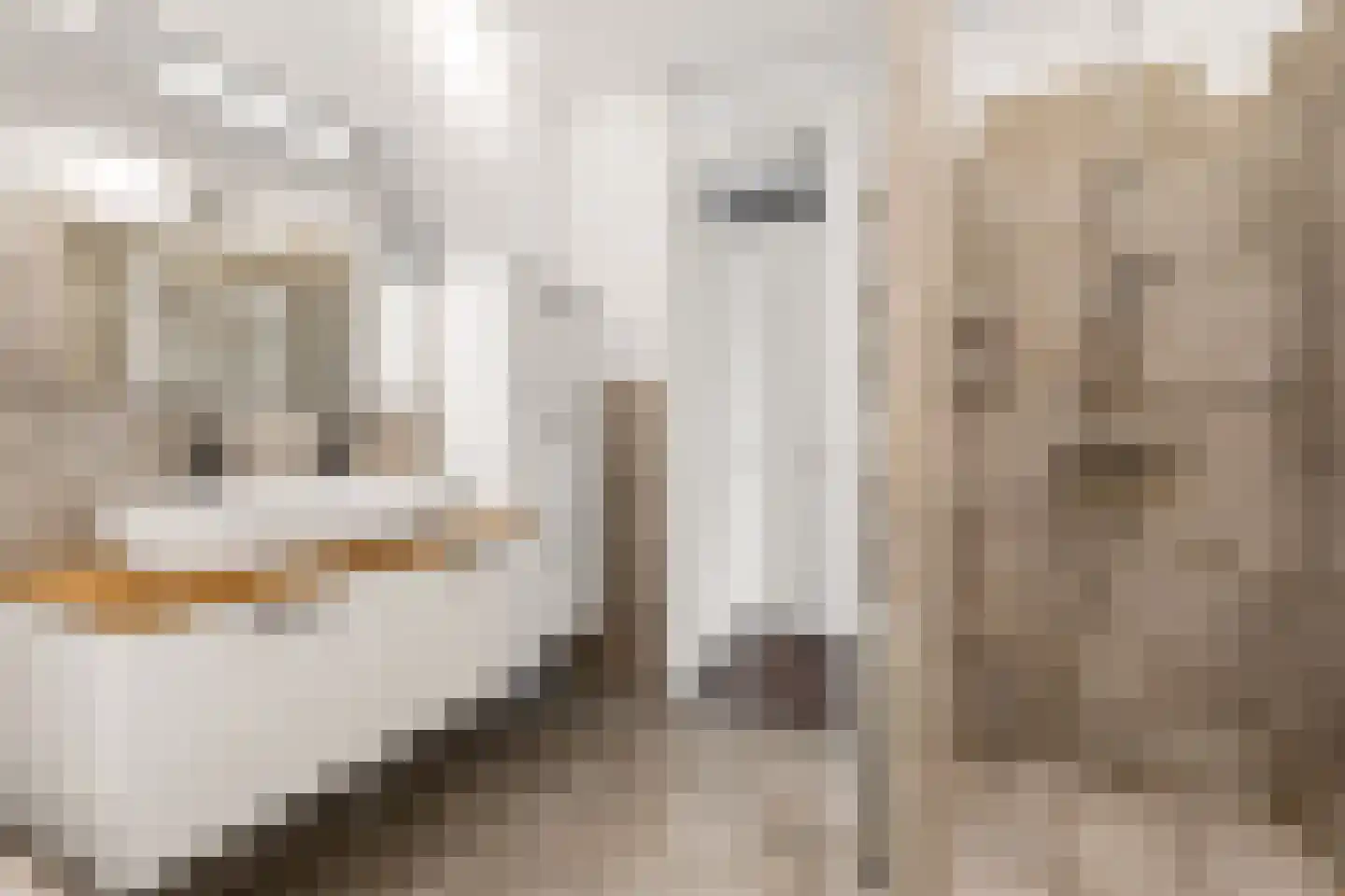 Draagmuur 58 Houten thumbnail 48