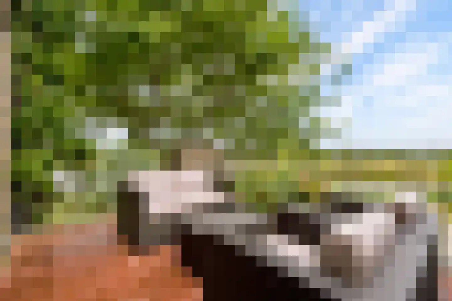 Draagmuur 58 Houten thumbnail 50