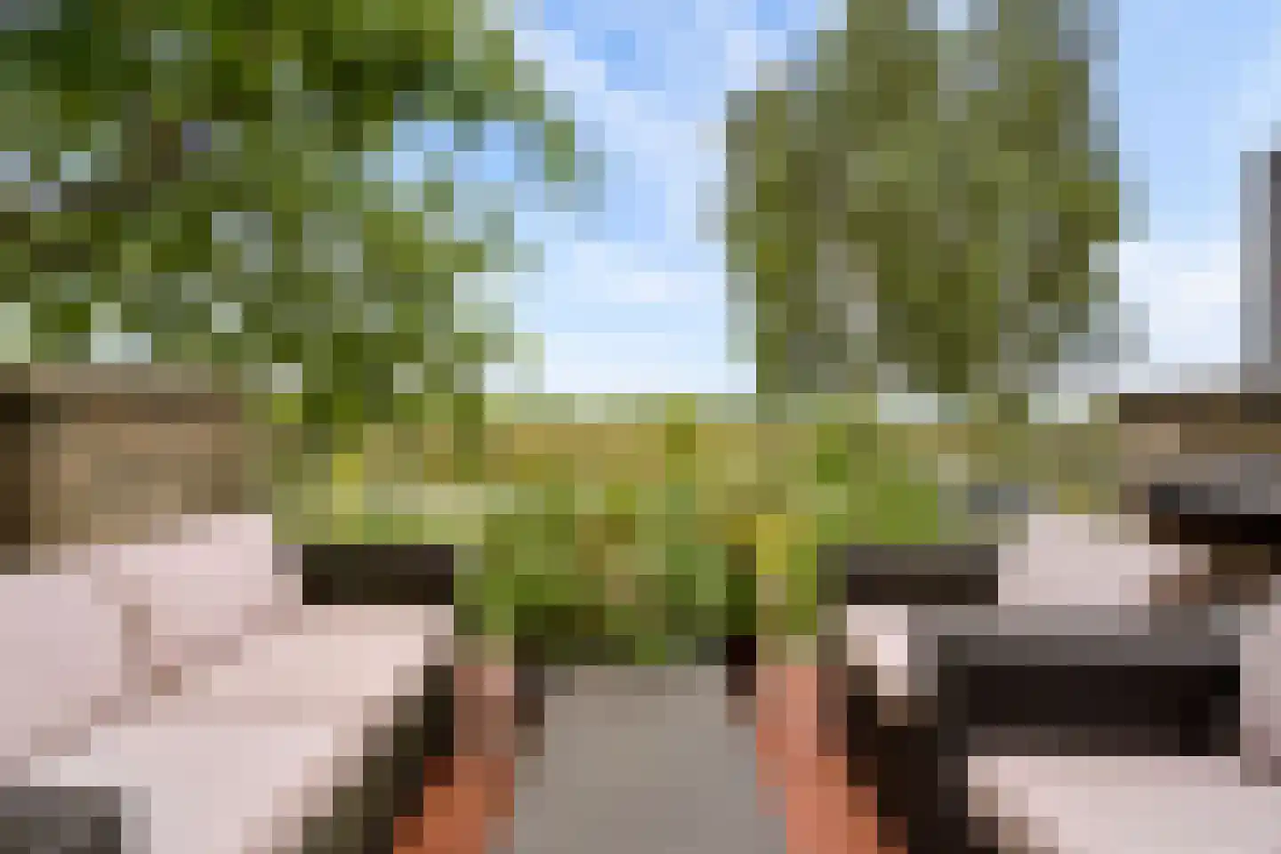 Draagmuur 58 Houten thumbnail 52