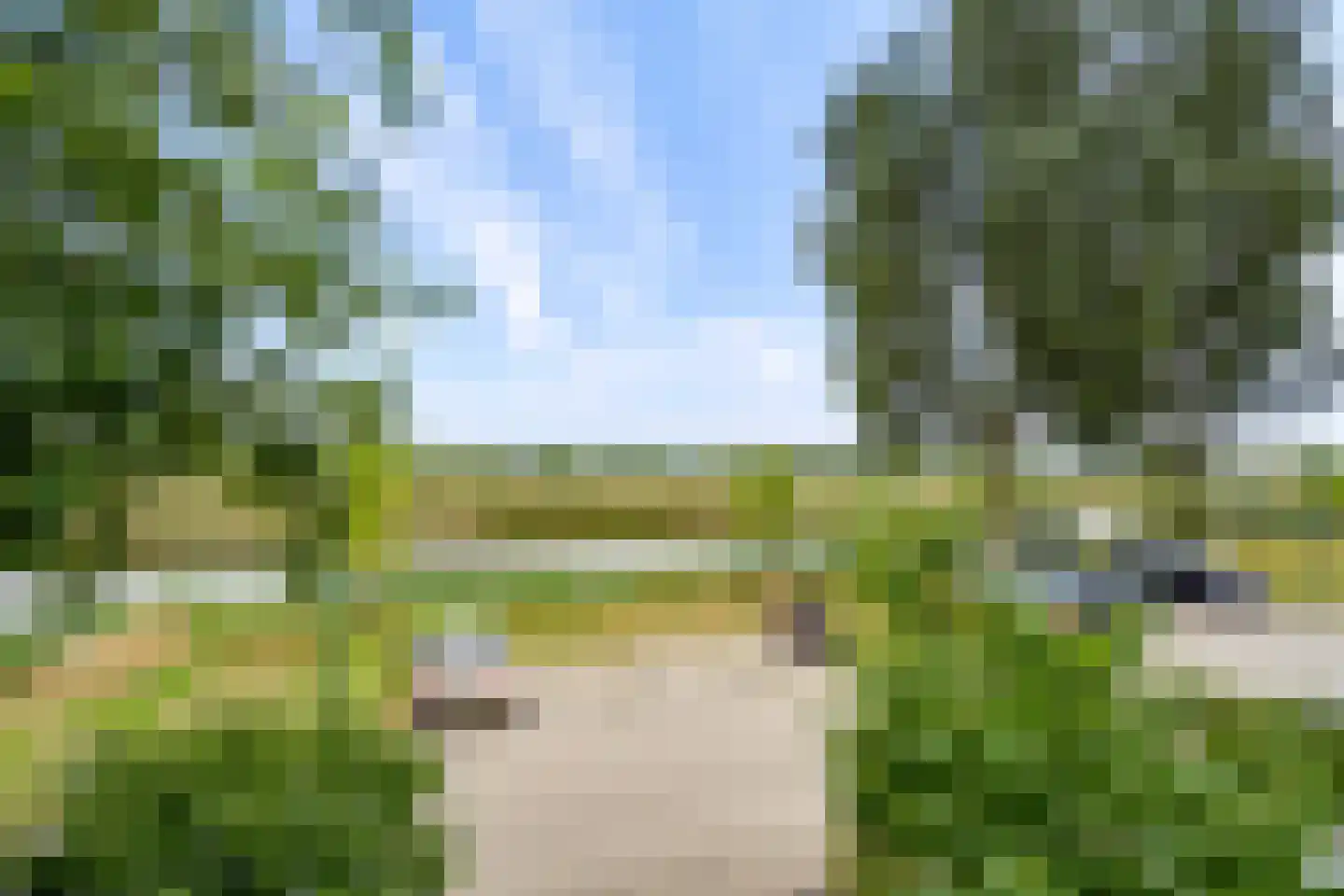 Draagmuur 58 Houten thumbnail 53