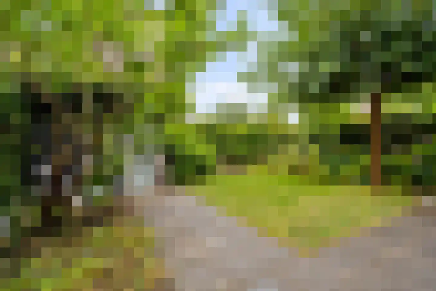 Draagmuur 58 Houten thumbnail 57