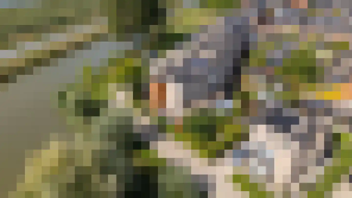 Draagmuur 58 Houten thumbnail 61