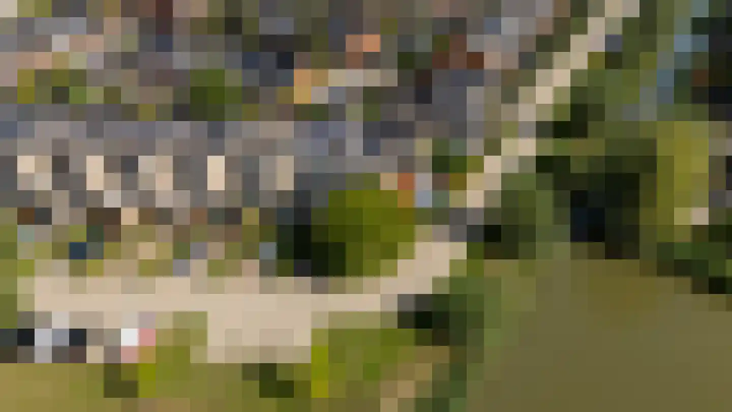 Draagmuur 58 Houten thumbnail 63
