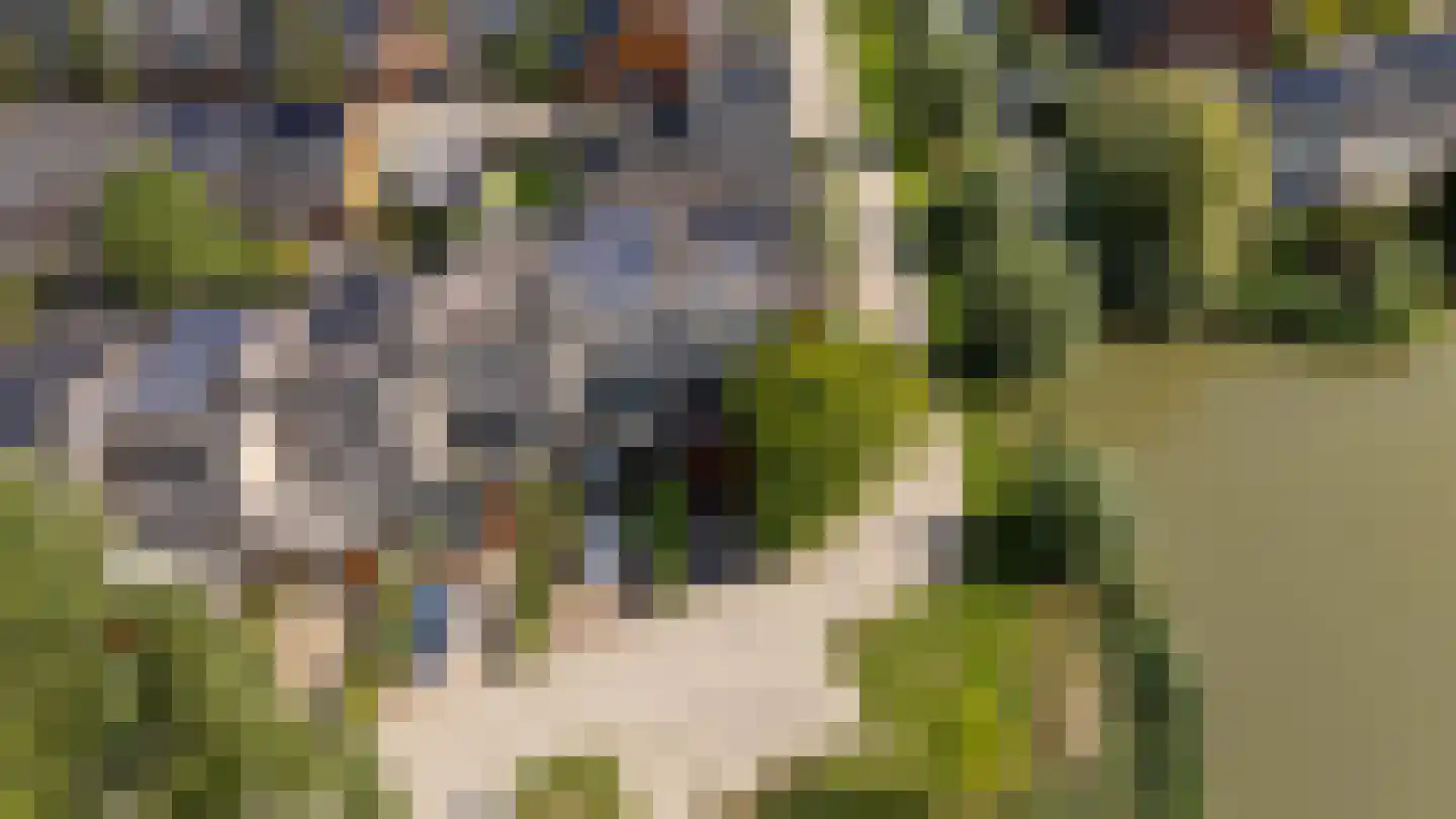 Draagmuur 58 Houten thumbnail 65