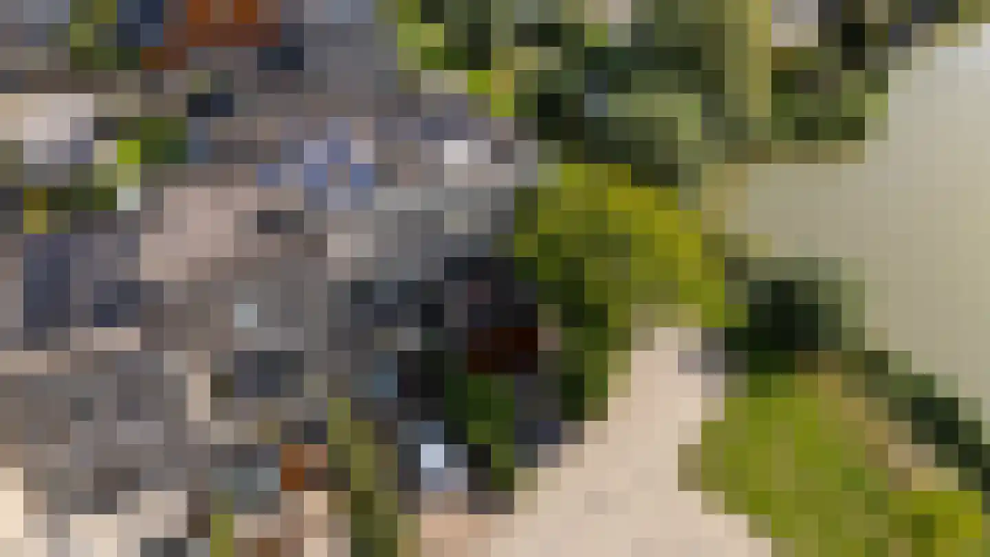 Draagmuur 58 Houten thumbnail 66