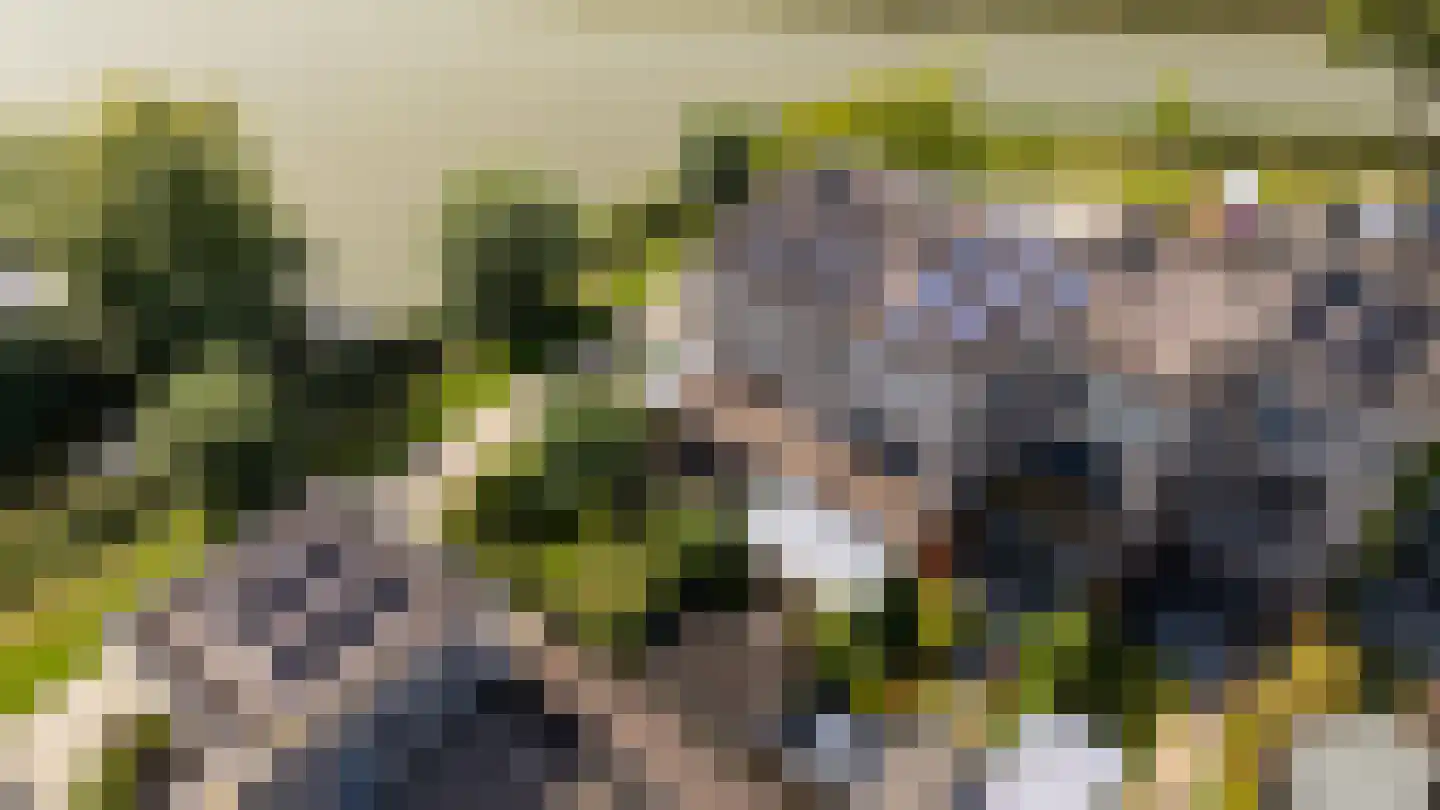 Draagmuur 58 Houten thumbnail 67