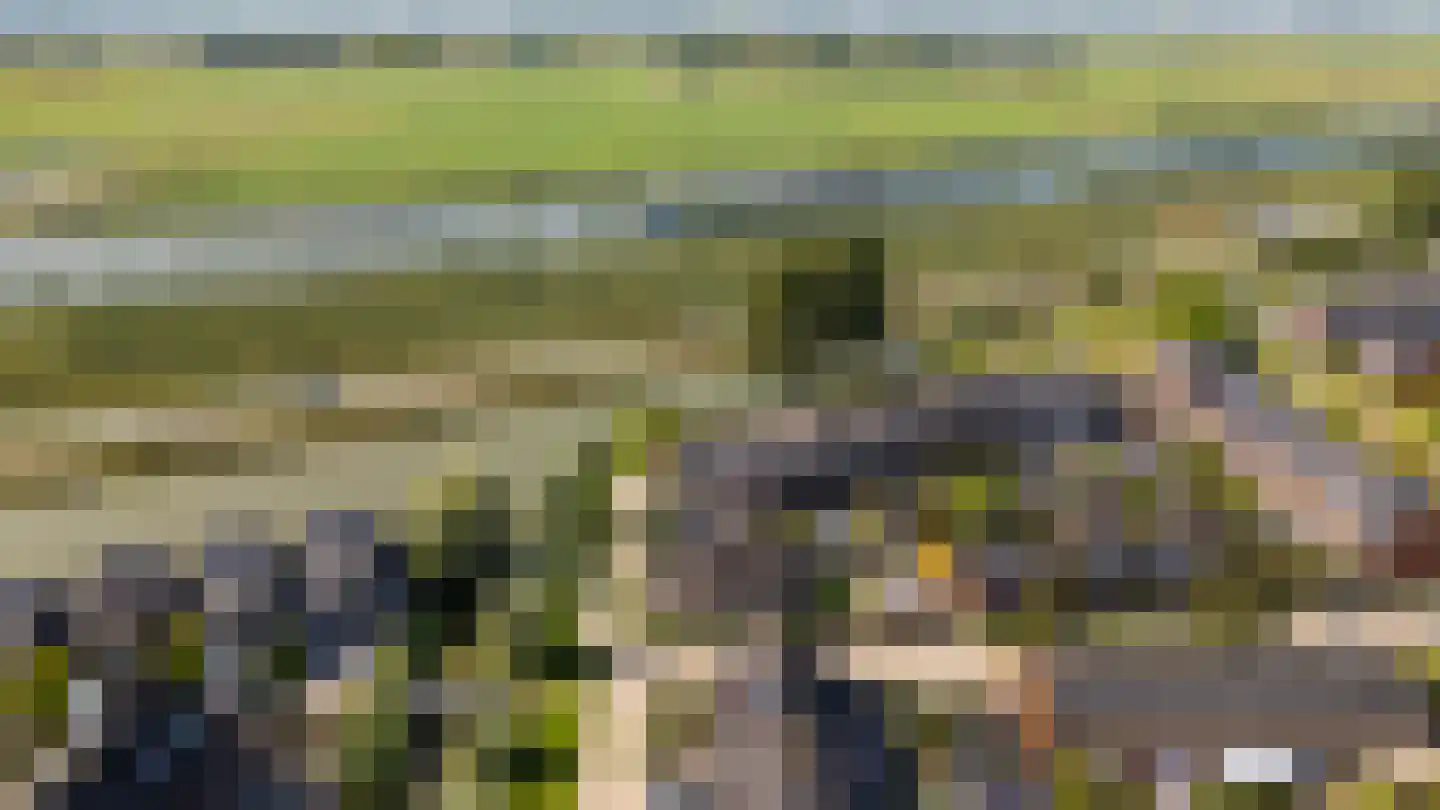 Draagmuur 58 Houten thumbnail 68