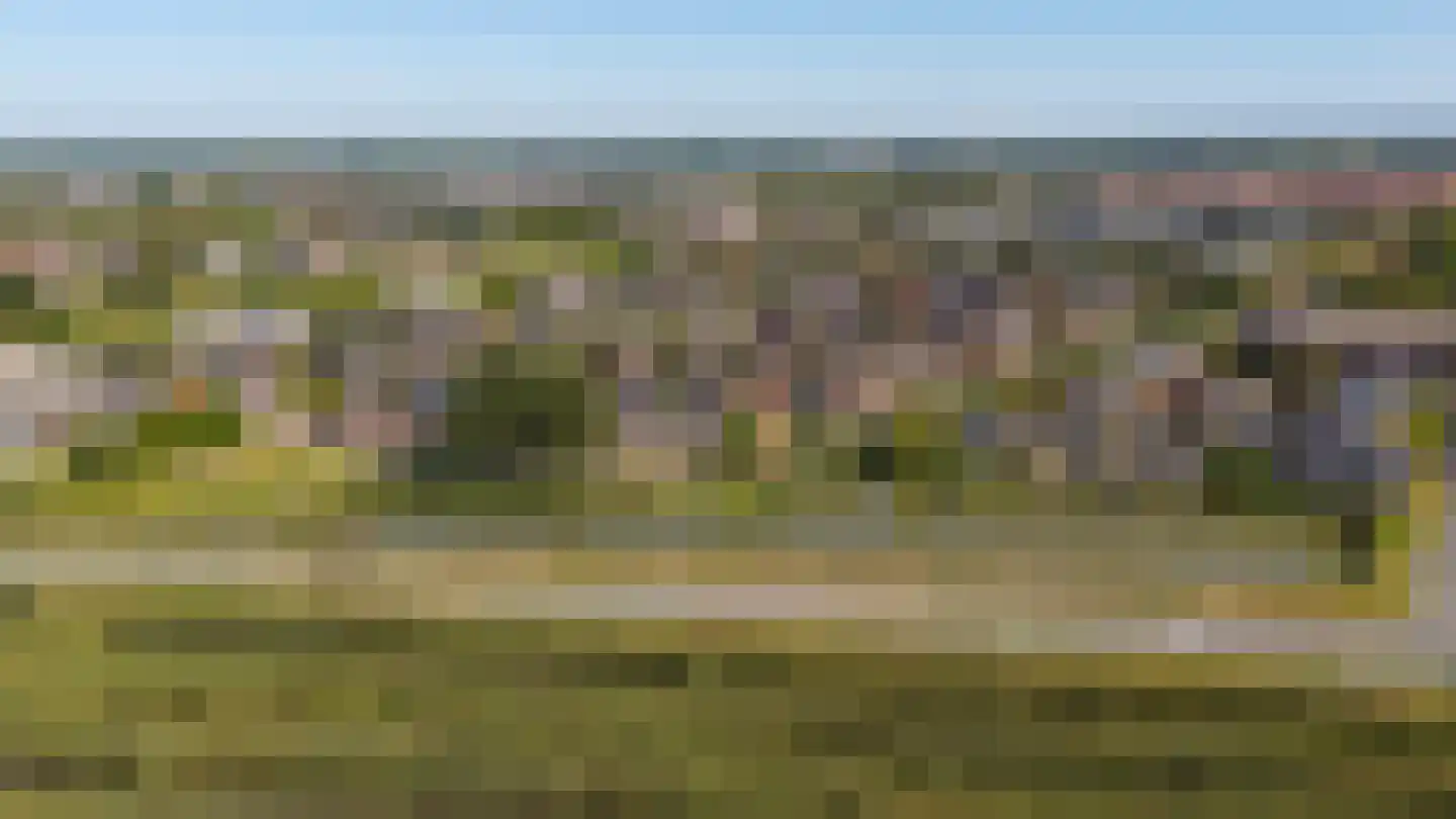 Draagmuur 58 Houten thumbnail 69