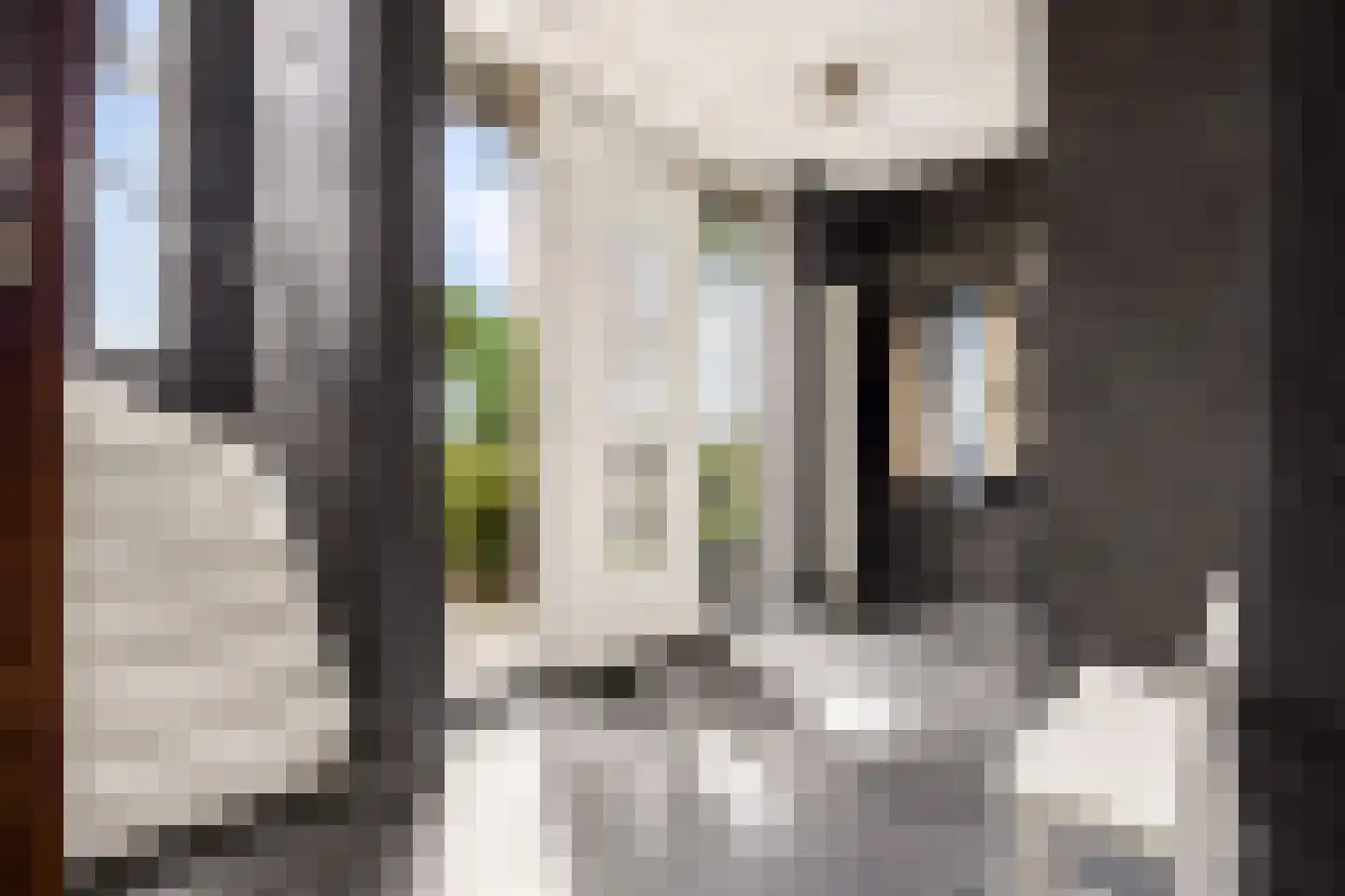 Draagmuur 58 Houten thumbnail 7