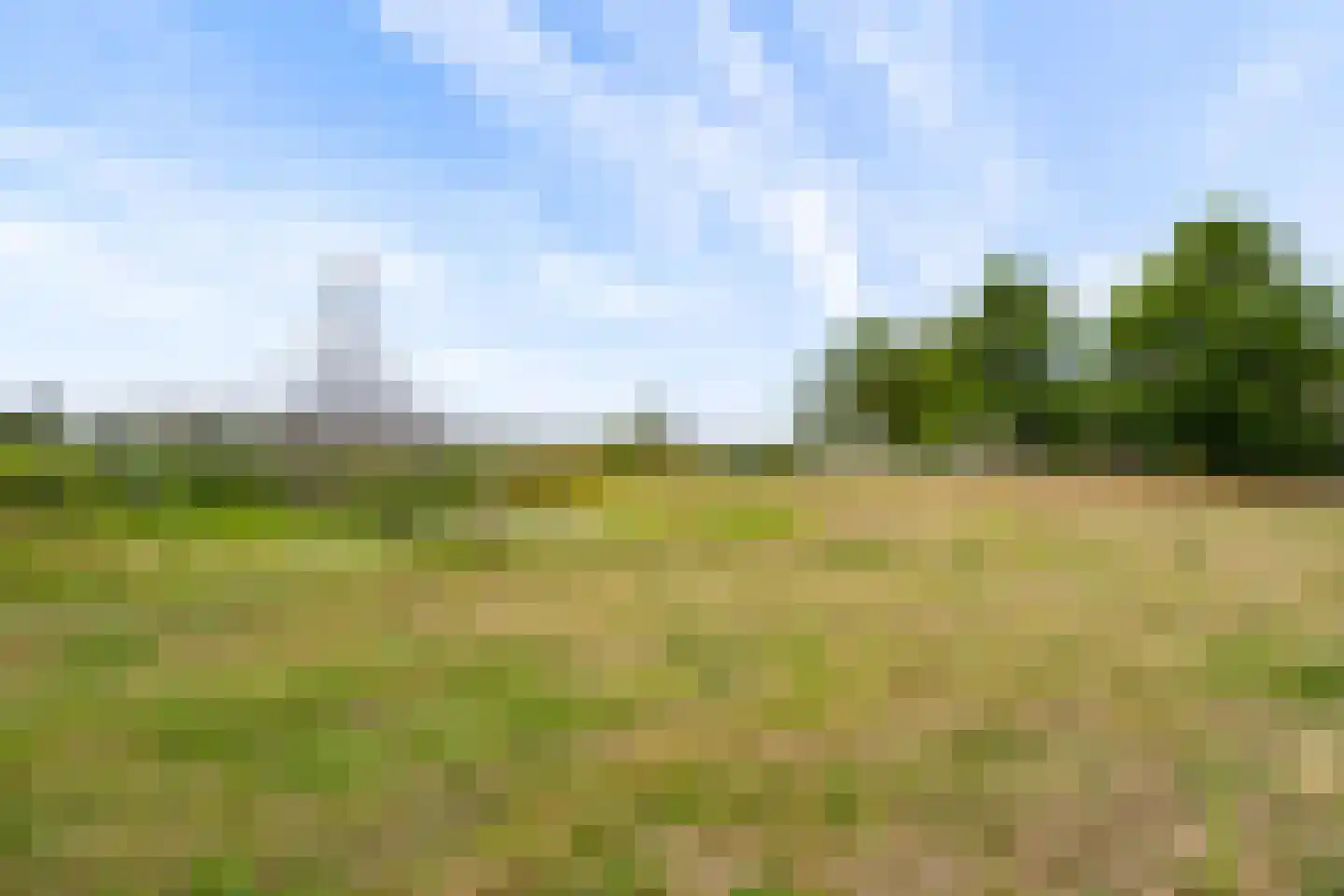 Draagmuur 58 Houten thumbnail 70