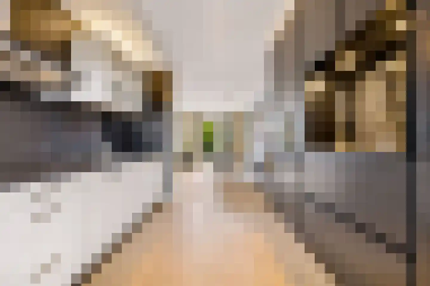 Draagmuur 65 Houten thumbnail 19