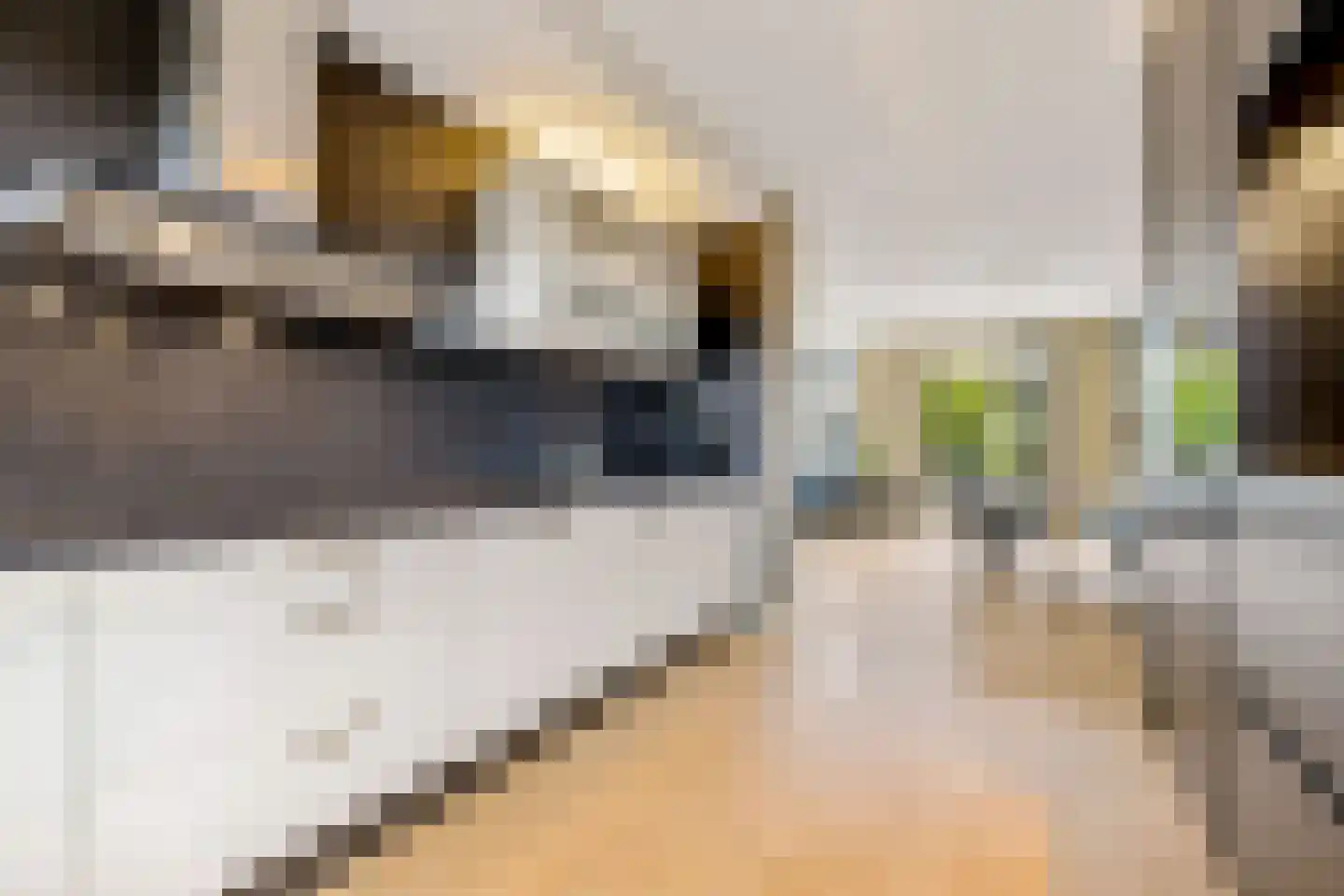 Draagmuur 65 Houten thumbnail 20