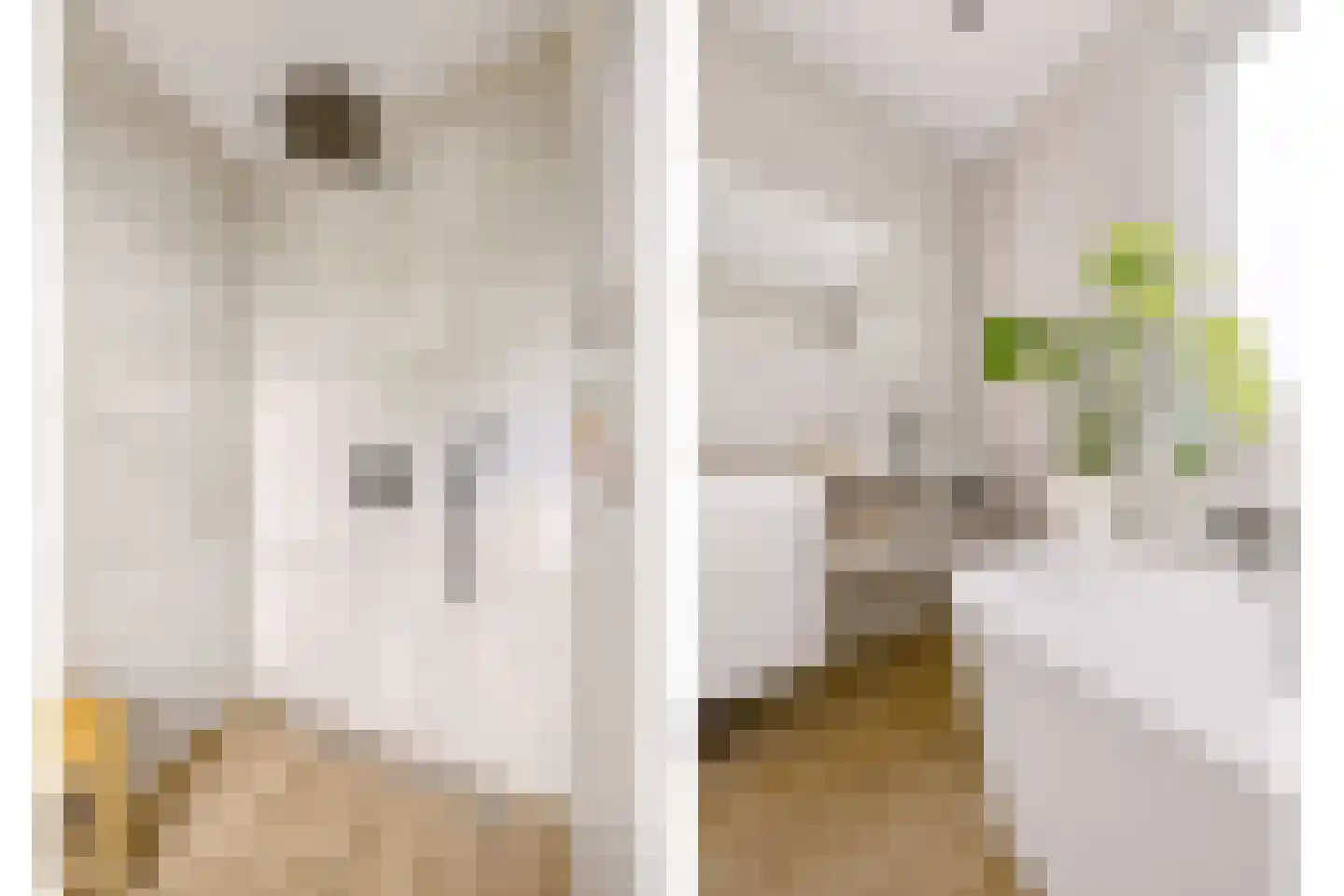 Draagmuur 65 Houten thumbnail 36
