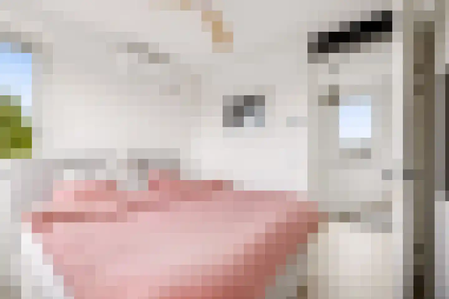 Draagmuur 65 Houten thumbnail 40