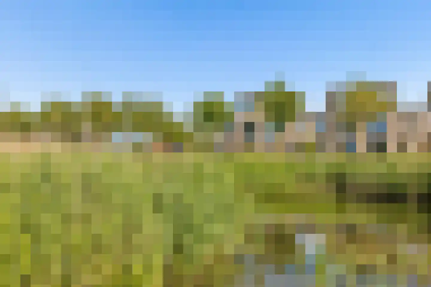 Draagmuur 65 Houten thumbnail 5