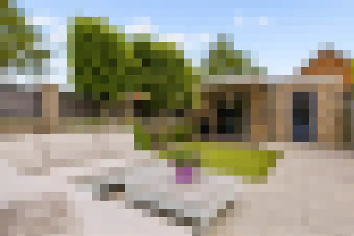 Draagmuur 65 Houten thumbnail 50