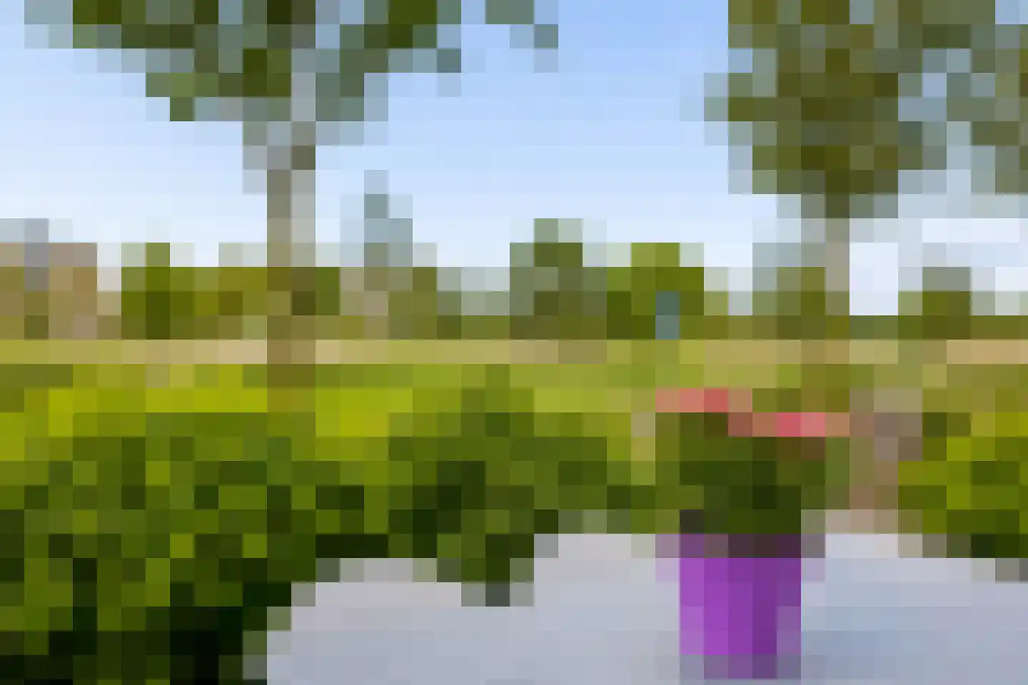 Draagmuur 65 Houten thumbnail 52