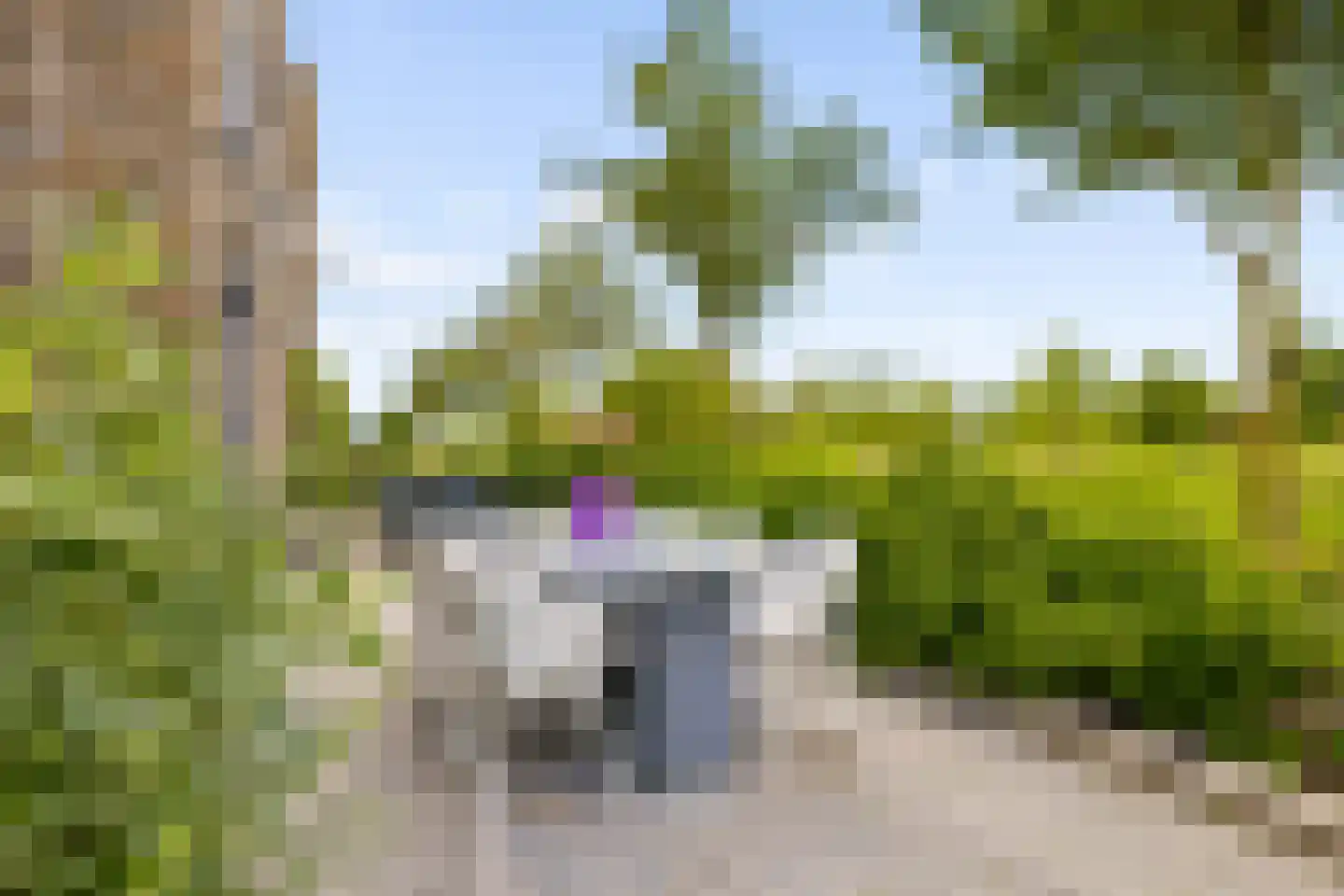 Draagmuur 65 Houten thumbnail 53