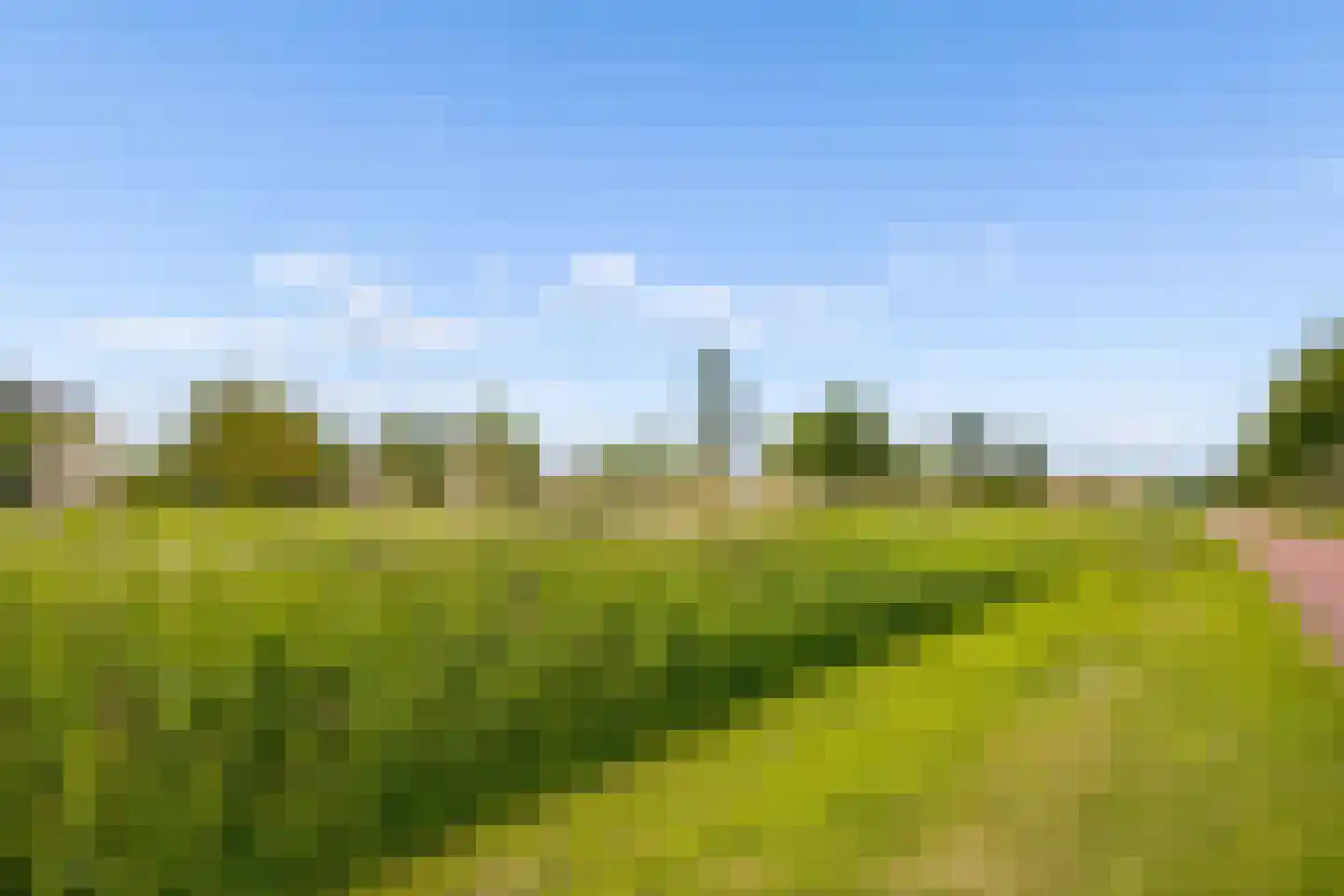 Draagmuur 65 Houten thumbnail 56