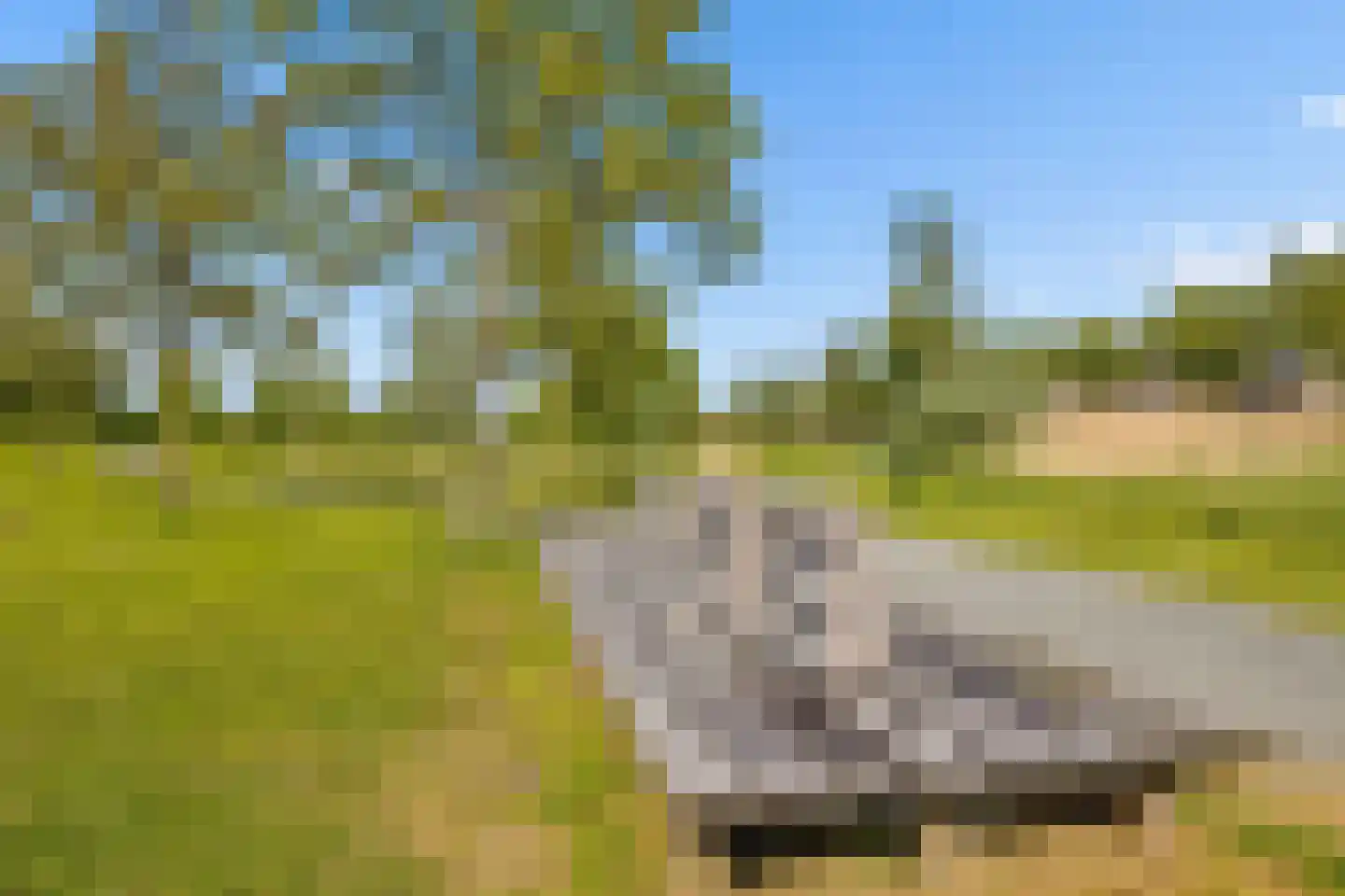Draagmuur 65 Houten thumbnail 58