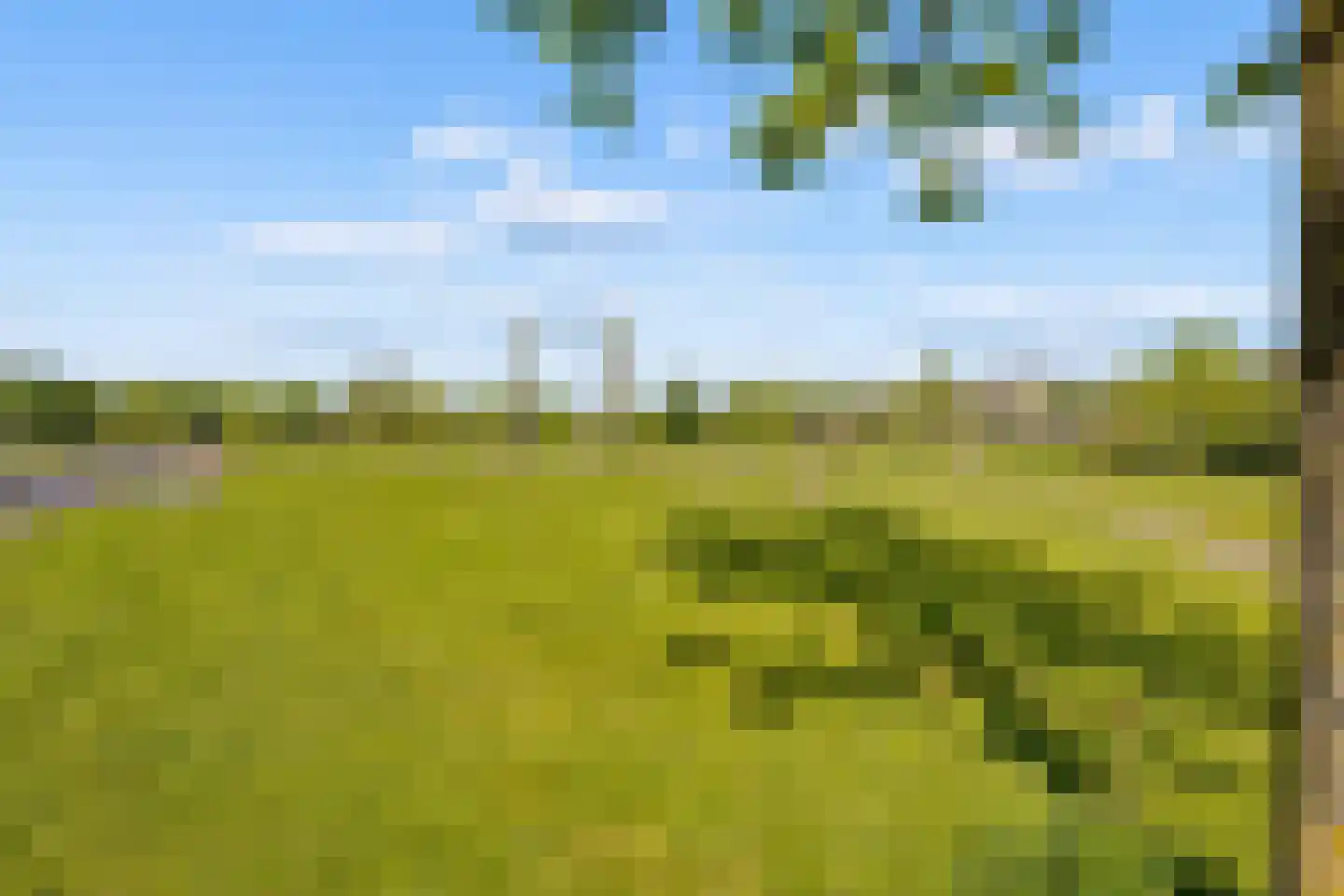Draagmuur 65 Houten thumbnail 59