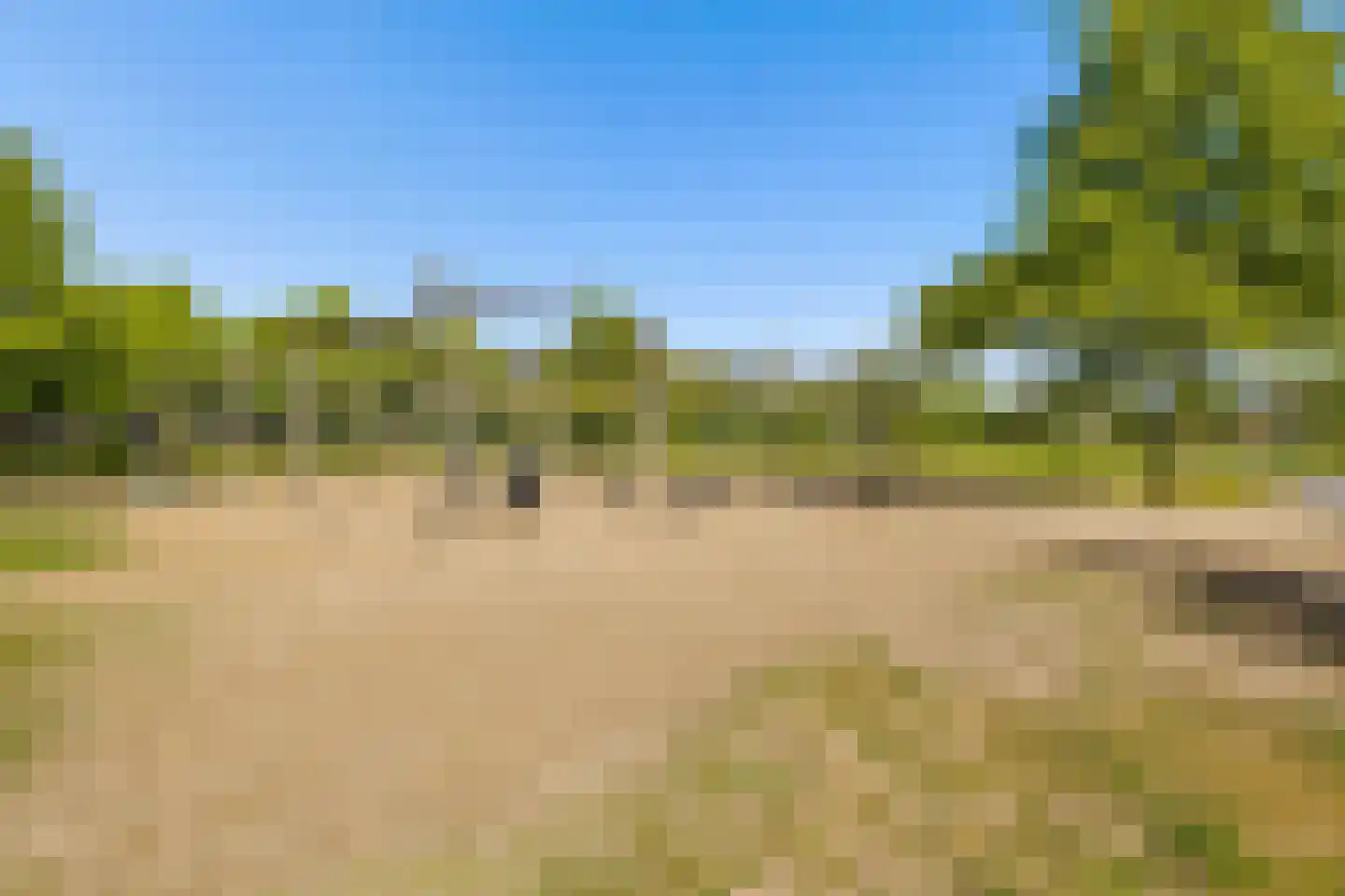 Draagmuur 65 Houten thumbnail 60