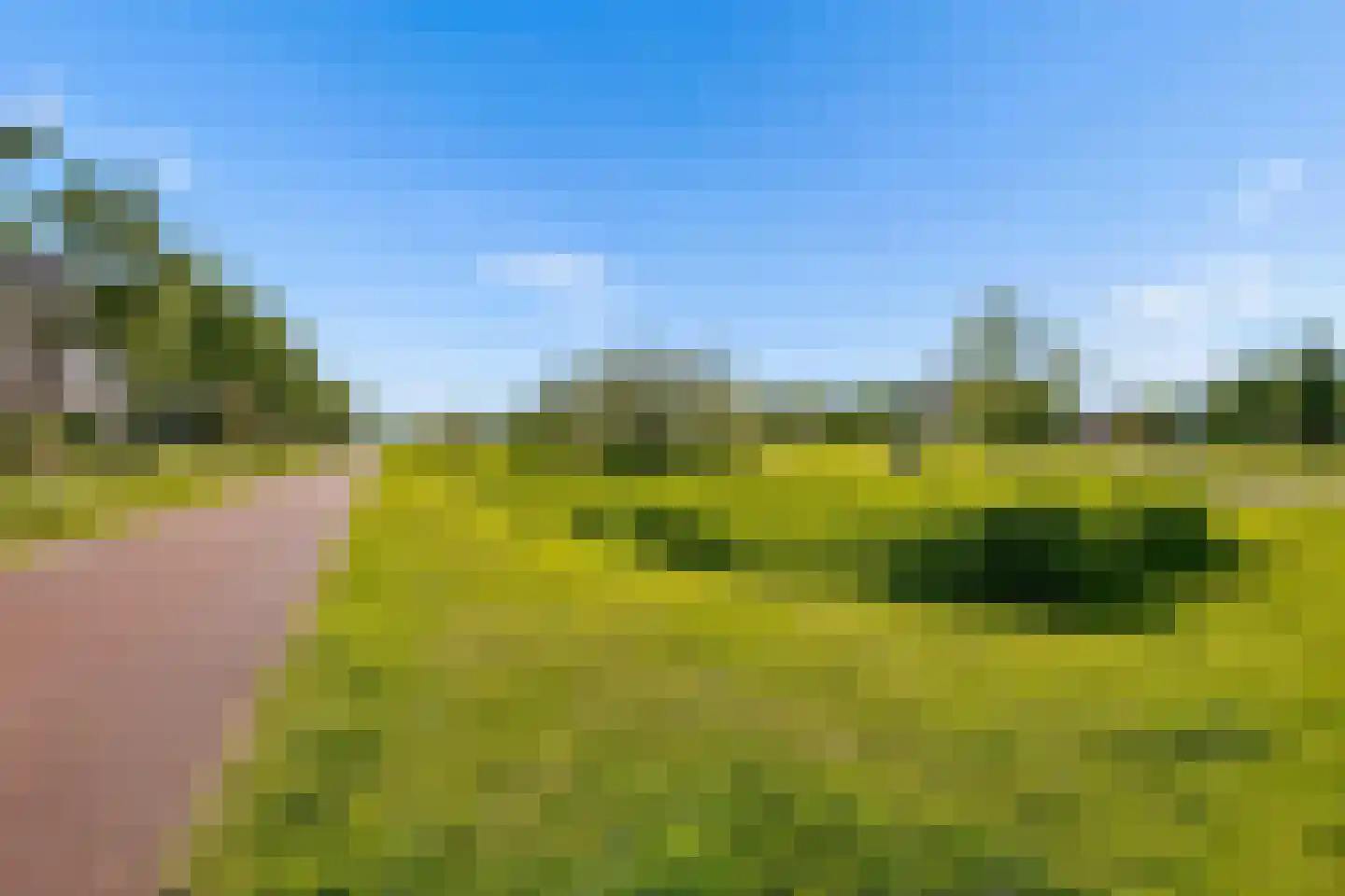 Draagmuur 65 Houten thumbnail 62
