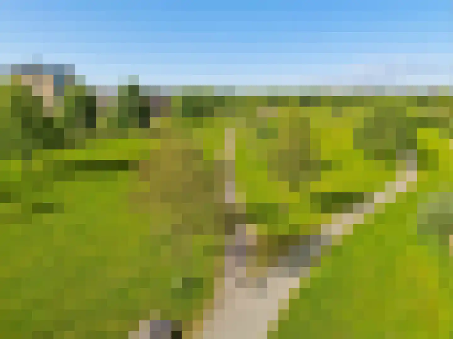 Draagmuur 65 Houten thumbnail 65