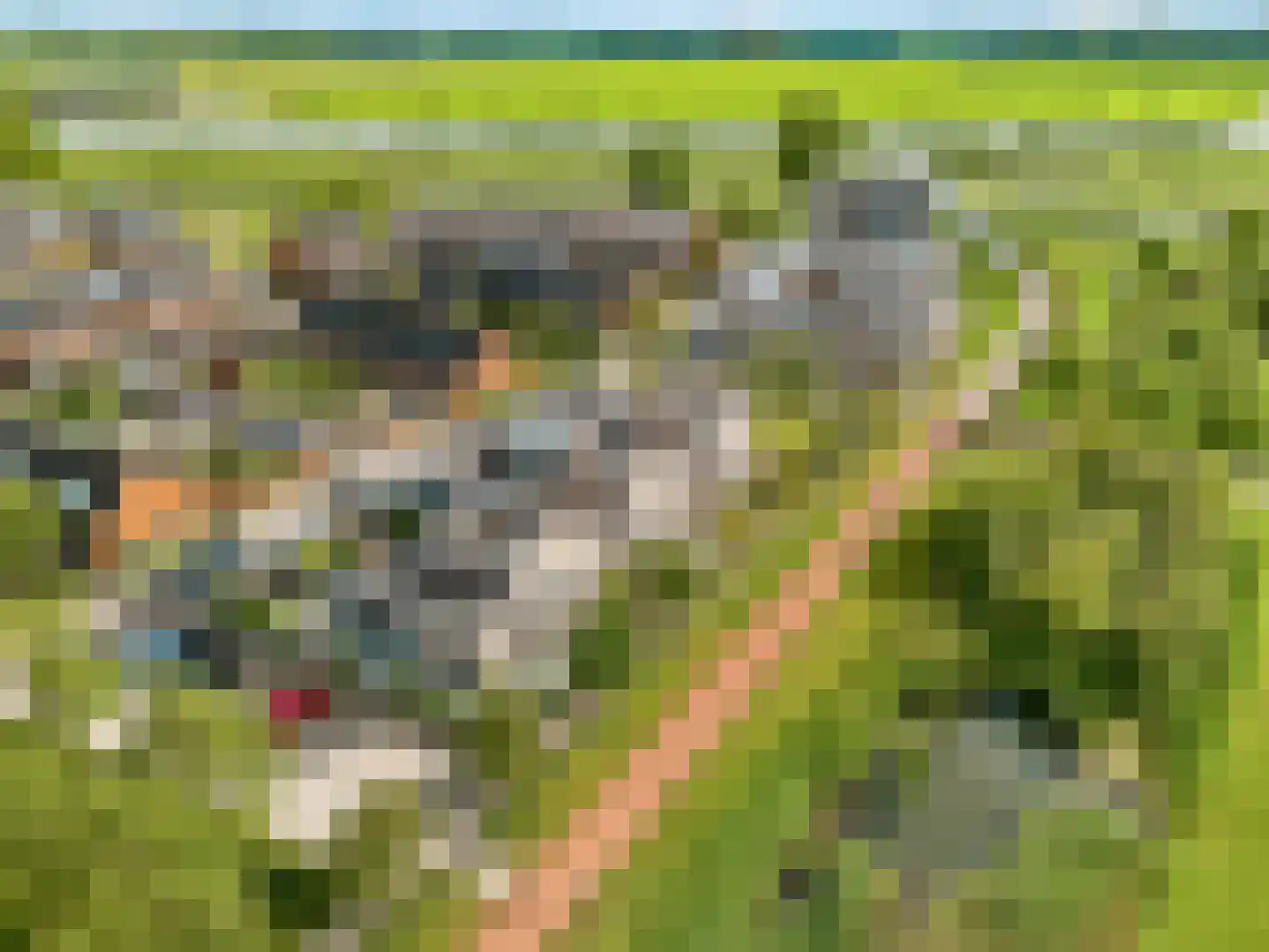 Draagmuur 65 Houten thumbnail 67