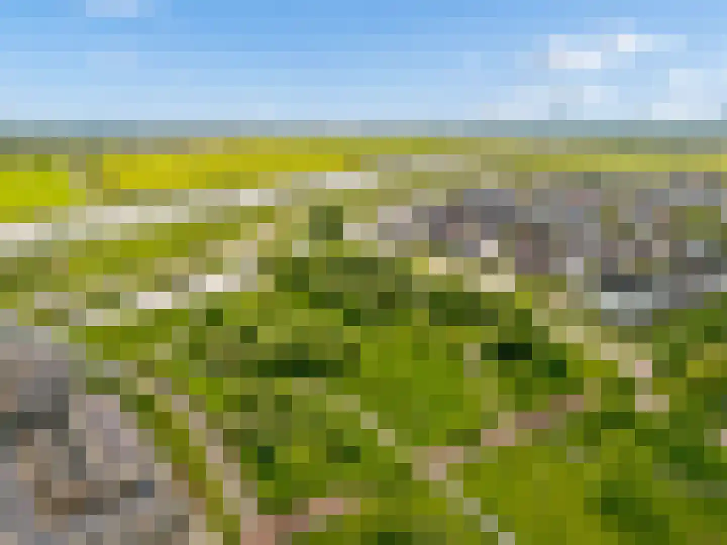 Draagmuur 65 Houten thumbnail 69