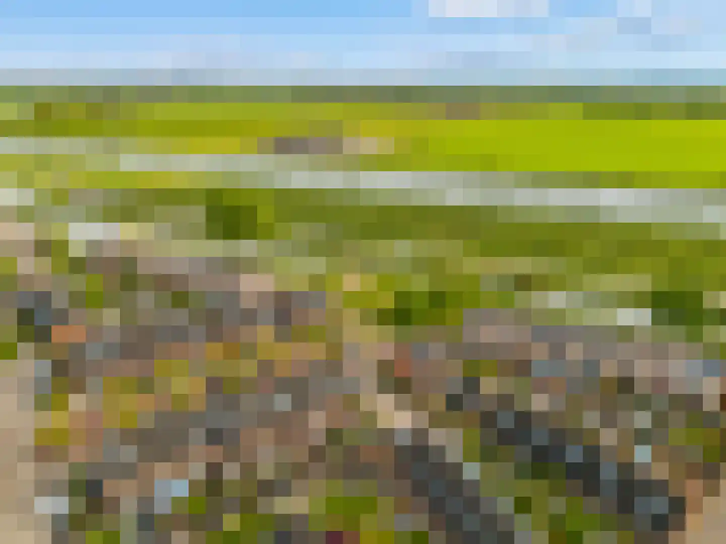 Draagmuur 65 Houten thumbnail 70