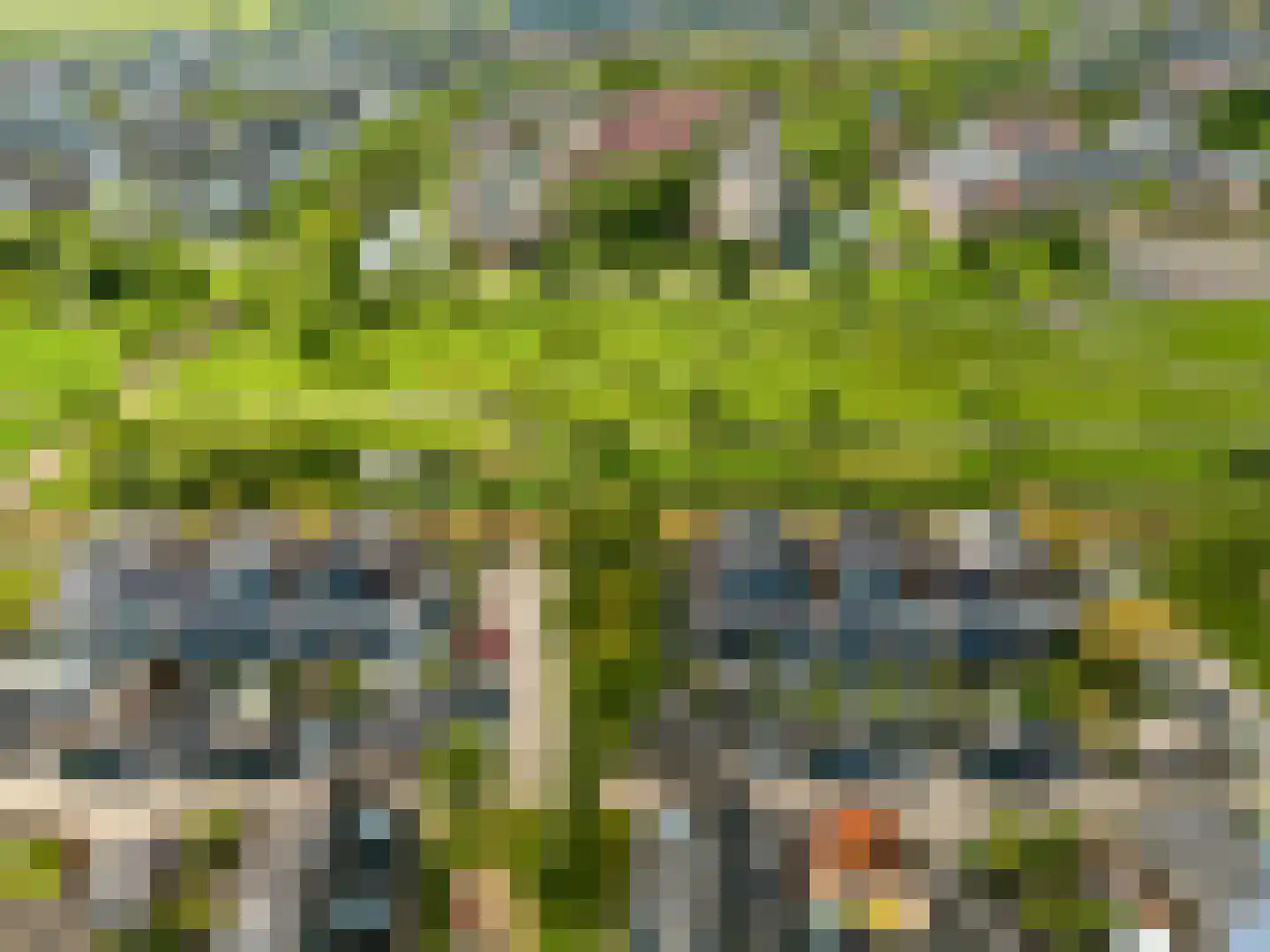 Draagmuur 65 Houten thumbnail 72