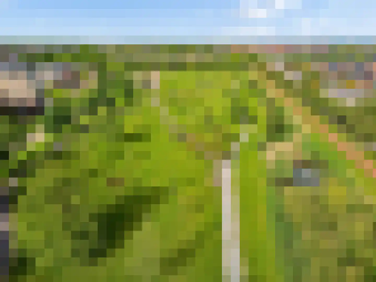Draagmuur 65 Houten thumbnail 73