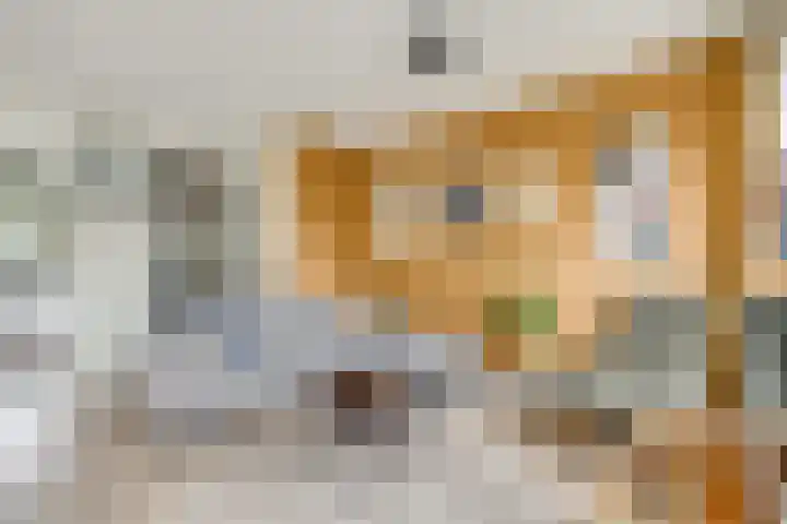Draagmuur 74 Houten thumbnail 11