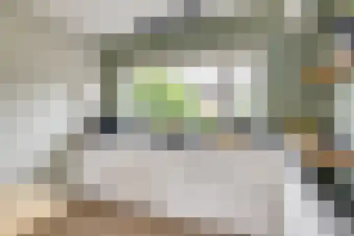 Draagmuur 74 Houten thumbnail 14