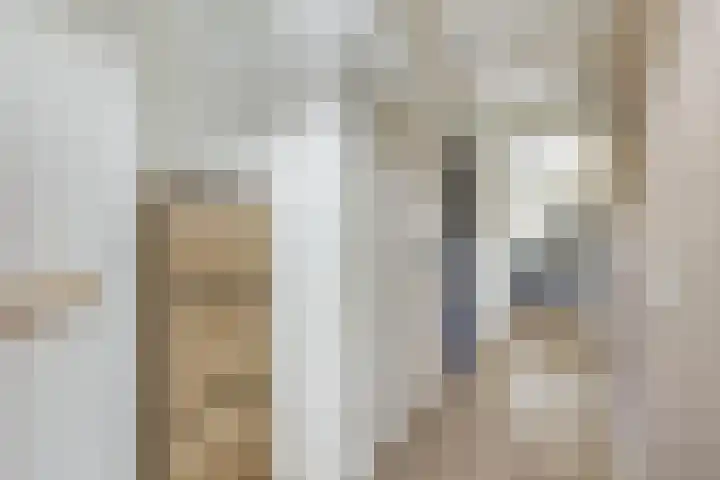 Draagmuur 74 Houten thumbnail 19