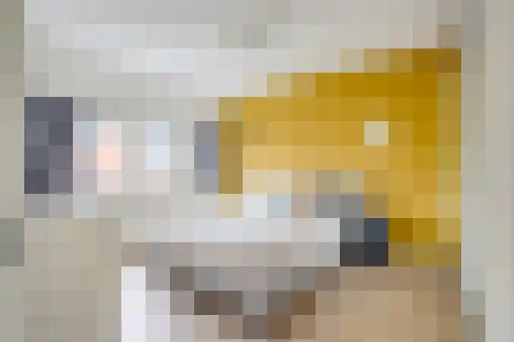 Draagmuur 74 Houten thumbnail 21