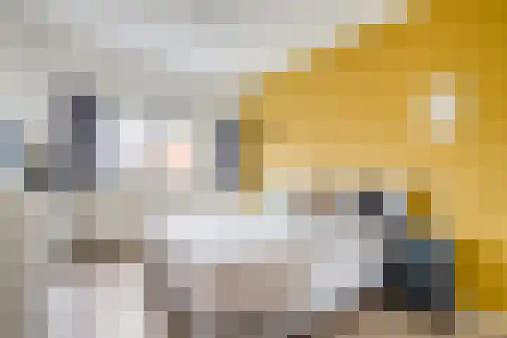 Draagmuur 74 Houten thumbnail 22