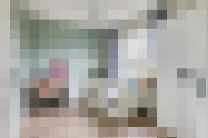 Draagmuur 74 Houten thumbnail 25