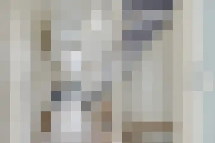 Draagmuur 74 Houten thumbnail 32